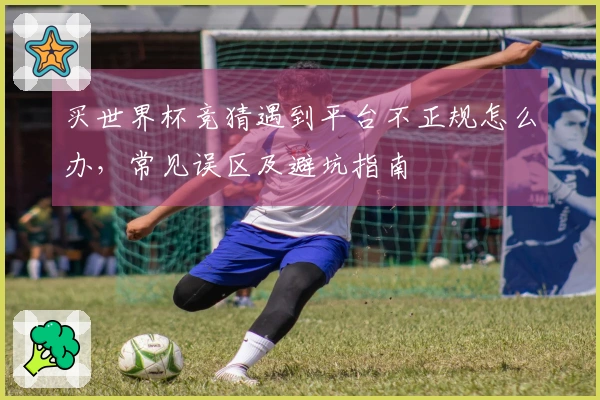 买世界杯竞猜遇到平台不正规怎么办，常见误区及避坑指南