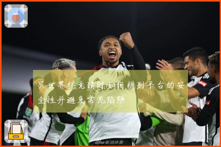 买世界杯竞猜时如何辨别平台的安全性并避免常见陷阱