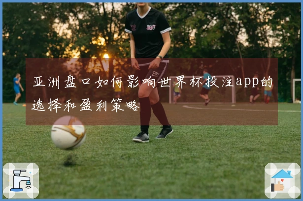亚洲盘口如何影响世界杯投注app的选择和盈利策略