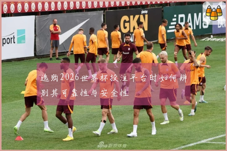 选购2026世界杯投注平台时如何辨别其可靠性与安全性