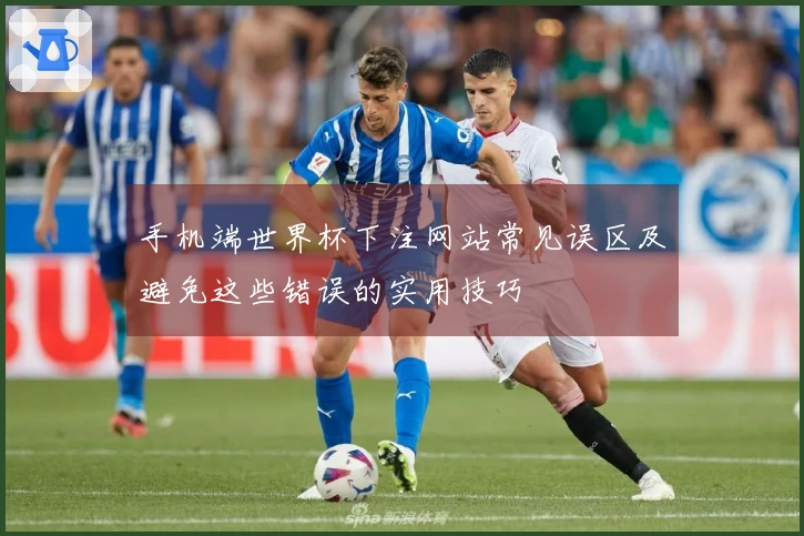 手机端世界杯下注网站常见误区及避免这些错误的实用技巧