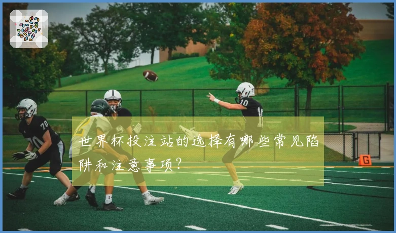 世界杯投注站的选择有哪些常见陷阱和注意事项？
