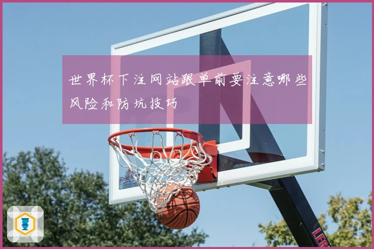 世界杯下注网站跟单前要注意哪些风险和防坑技巧