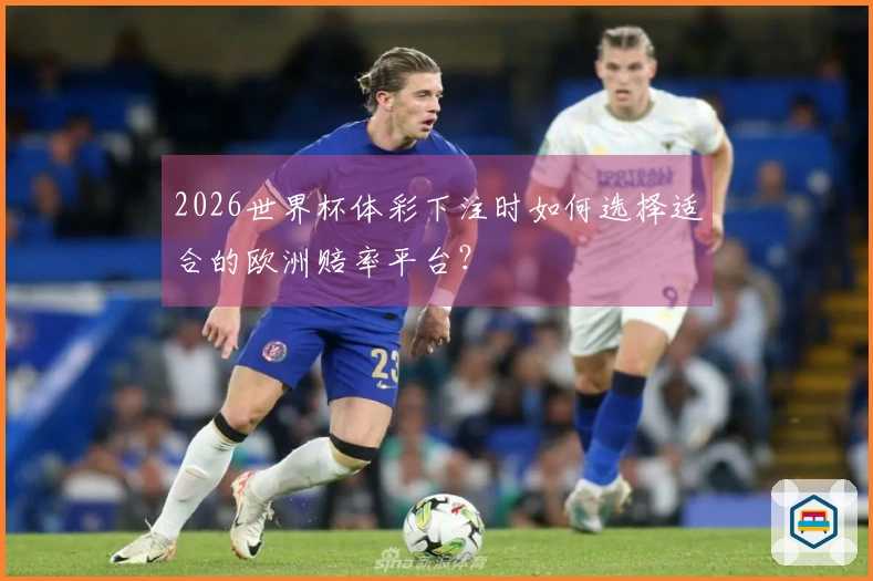 2026世界杯体彩下注时如何选择适合的欧洲赔率平台？