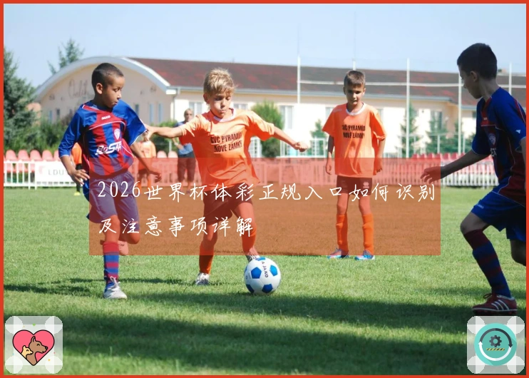 2026世界杯体彩正规入口如何识别及注意事项详解