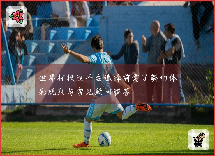 世界杯投注平台选择前需了解的体彩规则与常见疑问解答