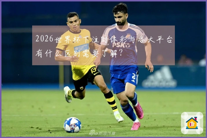2026世界杯下注时体彩与各大平台有什么区别需要了解？