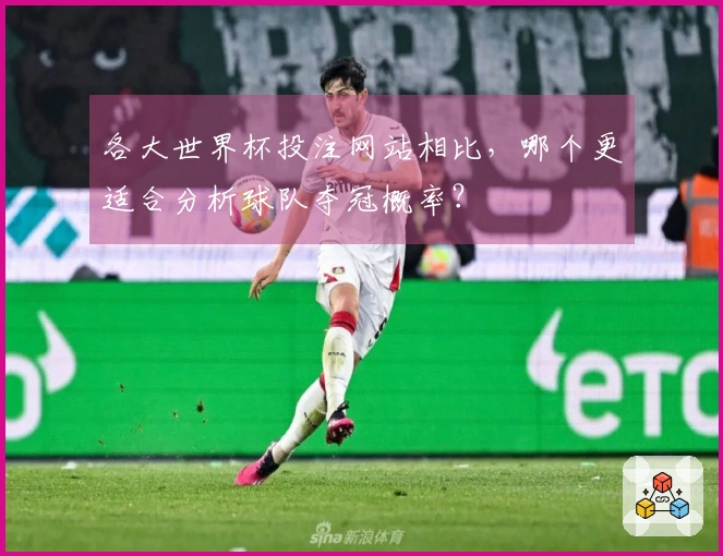 各大世界杯投注网站相比，哪个更适合分析球队夺冠概率？