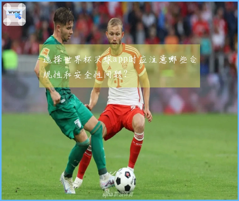 选择世界杯买球app时应注意哪些合规性和安全性问题？