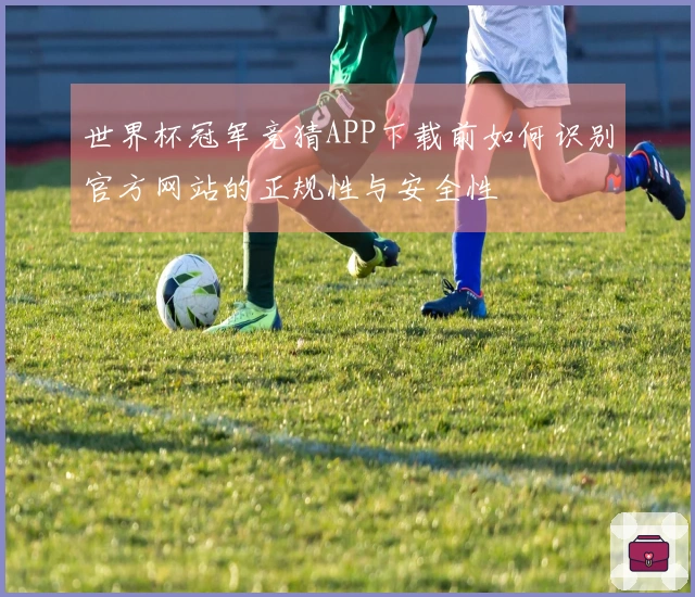 世界杯冠军竞猜APP下载前如何识别官方网站的正规性与安全性